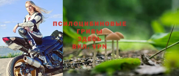 соль ск Алзамай