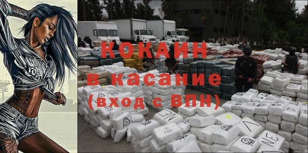 соль ск Алзамай