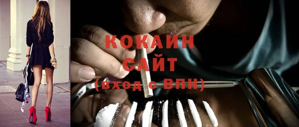соль ск Алзамай