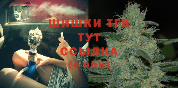 соль ск Алзамай