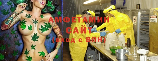 соль ск Алзамай