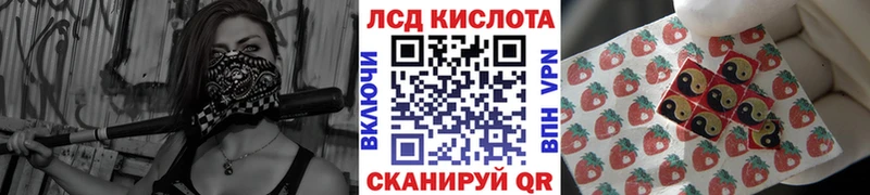 сайты даркнета телеграм  Болгар  Наркотические марки 1,8мг  blacksprut ССЫЛКА 